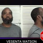 Vesenta Watson mugshot – Camden County , Georgia Vesenta Watson mugshot