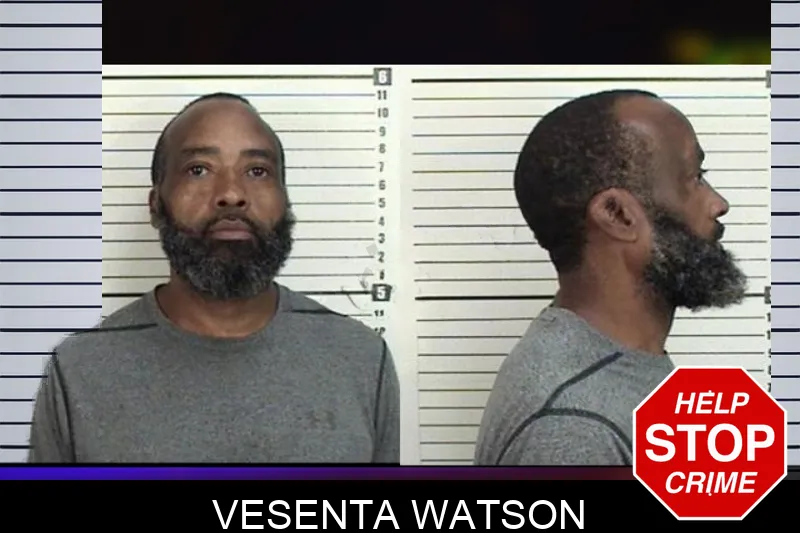 Vesenta Watson mugshot – Camden County , Georgia Vesenta Watson mugshot