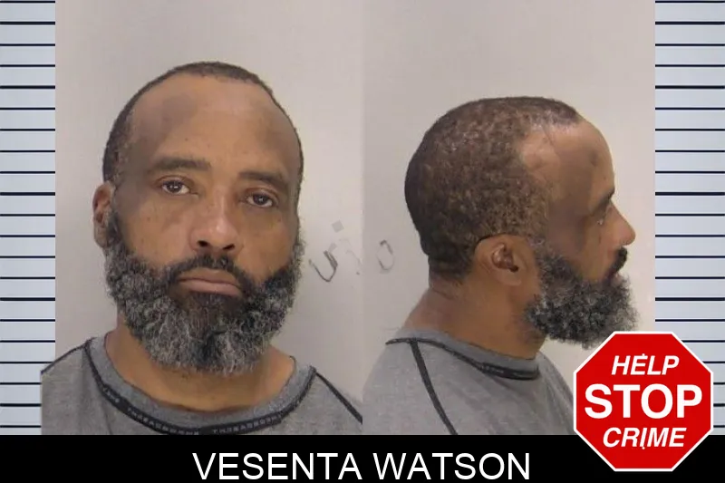 Vesenta Watson mugshot