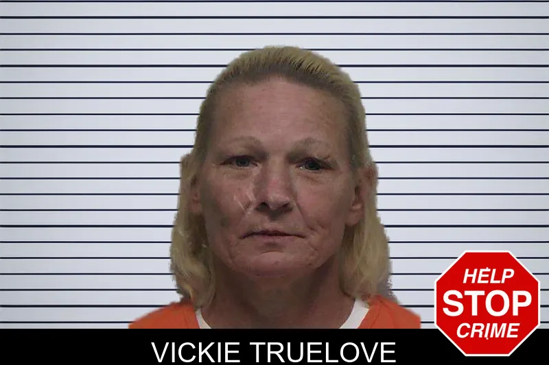 Vickie Truelove mugshot – Laurens County , Georgia Vickie Truelove mugshot