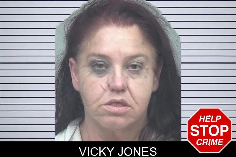 Vicky Jones mugshot