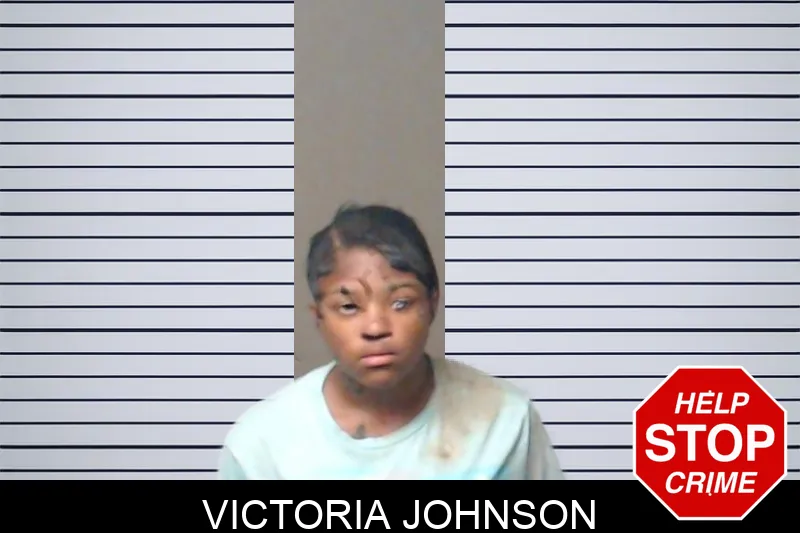 Victoria Johnson mugshot
