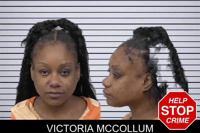 Victoria McCollum mugshot – Paulding County , Georgia Victoria McCollum mugshot