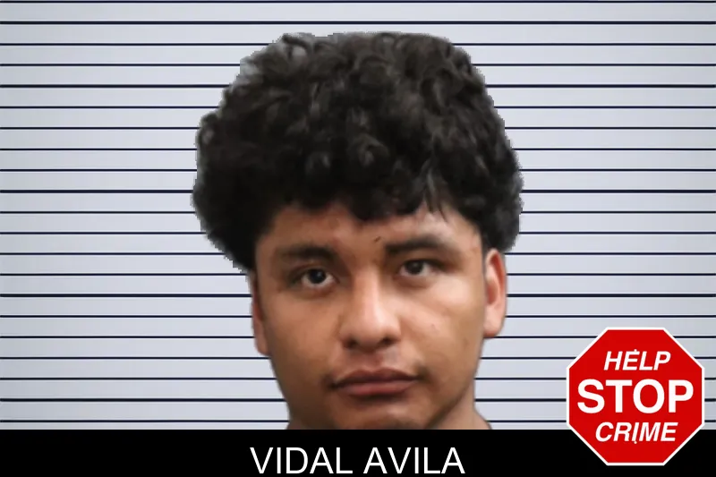 Vidal Avila mugshot