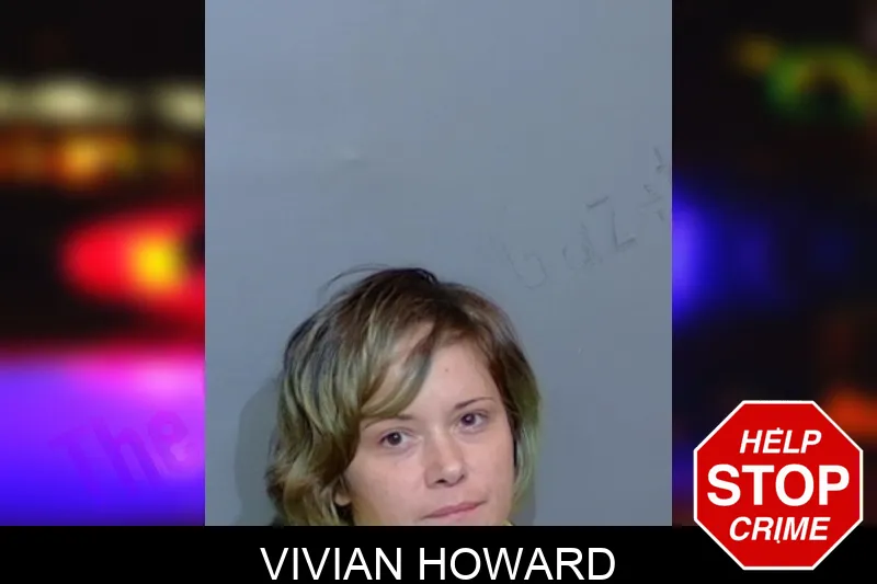 Vivian Howard mugshot – Glynn County , Georgia Vivian Howard mugshot