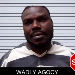 Wadly Agocy mugshot
