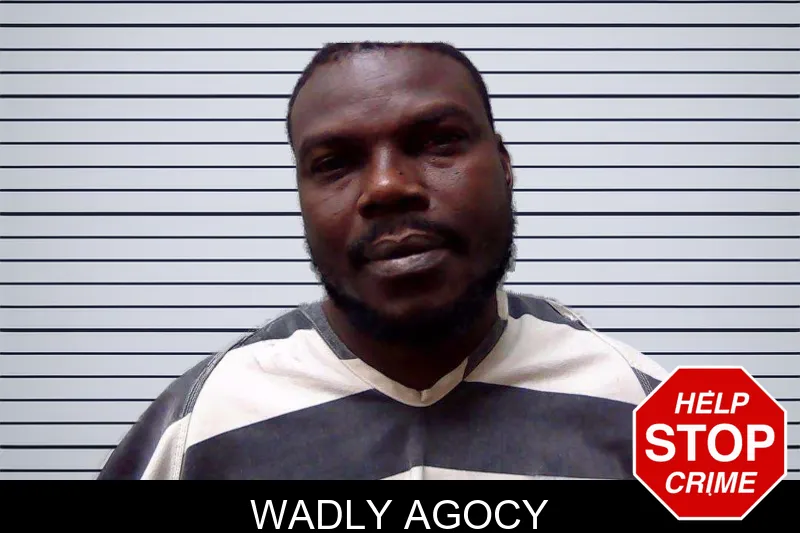 Wadly Agocy mugshot