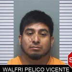 Walfri Pelico Vicente mugshot