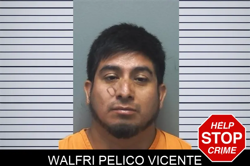 Walfri Pelico Vicente mugshot – Cherokee County , Georgia Walfri Pelico Vicente mugshot