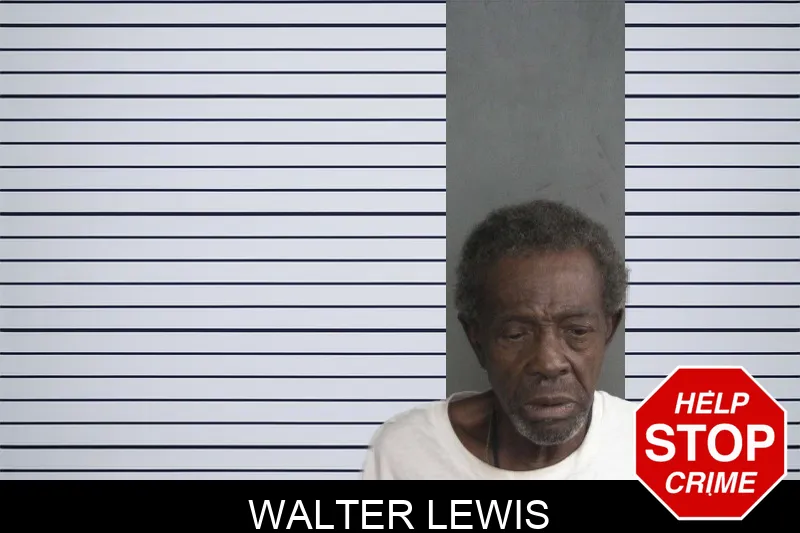 Walter Lewis mugshot – Twiggs County , Georgia Walter Lewis mugshot