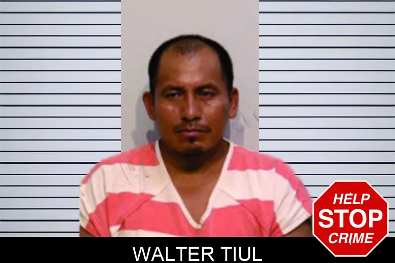 Walter Tiul mugshot – Bartow County , Georgia Walter Tiul mugshot
