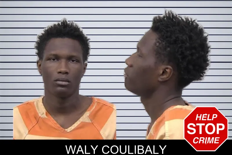 Waly Coulibaly mugshot – Paulding County , Georgia Waly Coulibaly mugshot