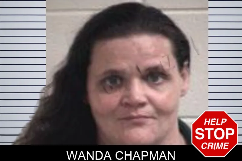 Wanda Chapman mugshot – Henry County , Georgia Wanda Chapman mugshot