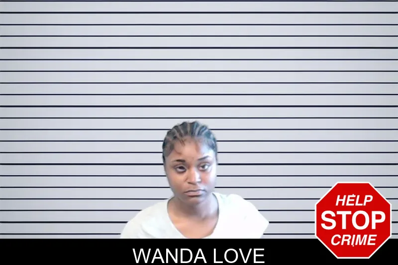 Wanda Love mugshot