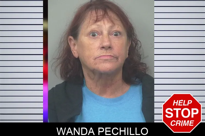 Wanda Pechillo mugshot
