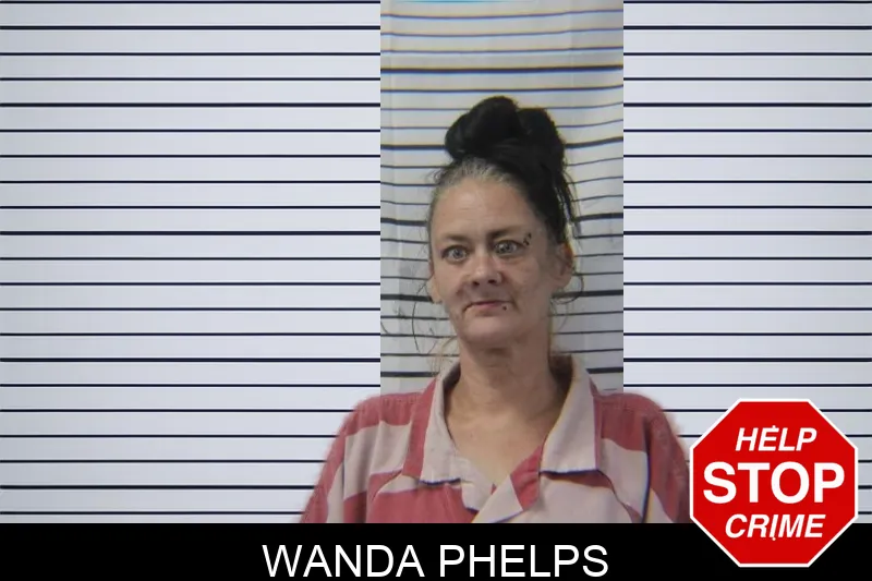 Wanda Phelps mugshot