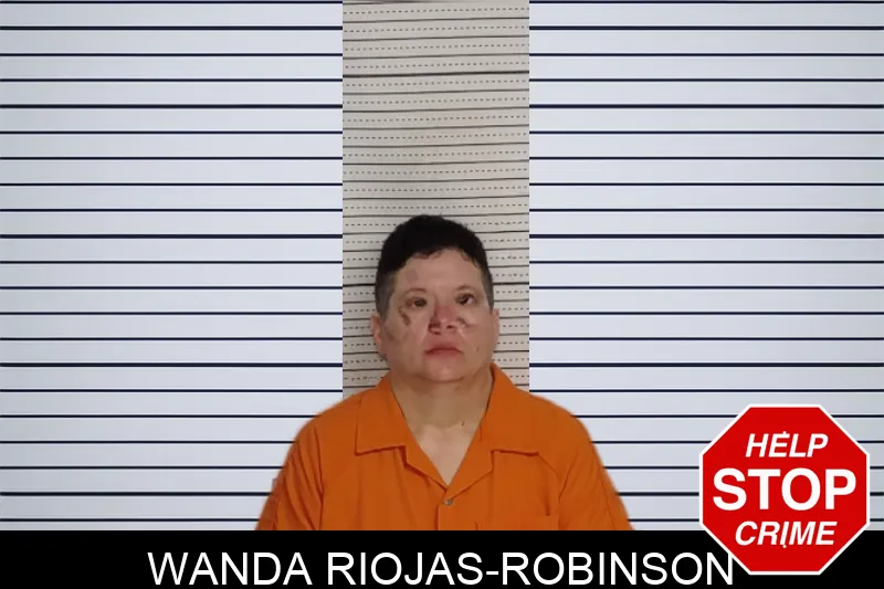 Wanda Riojas-Robinson mugshot