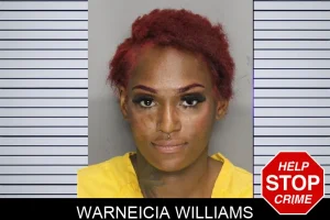 Warneicia Williams mugshot