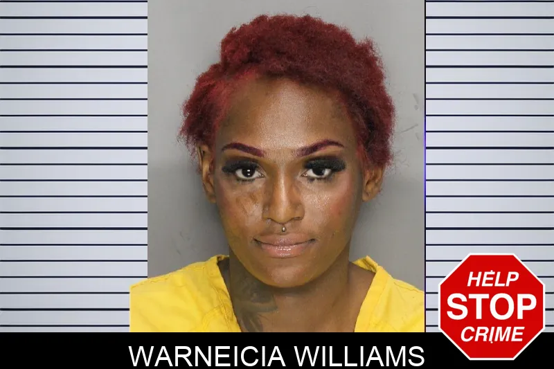 Warneicia Williams mugshot