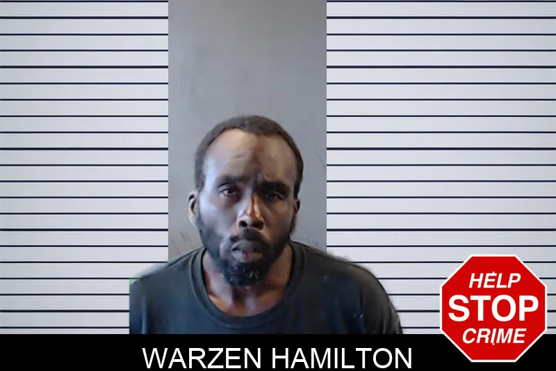 Warzen Hamilton mugshot