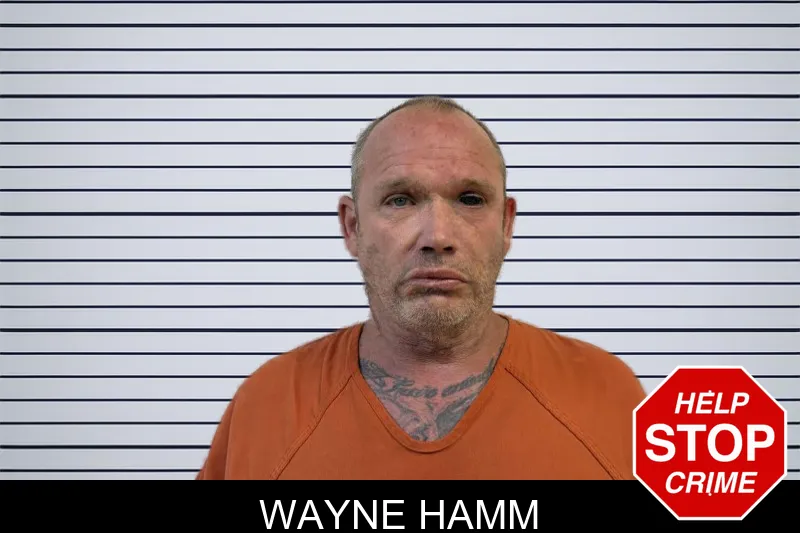 Wayne Hamm mugshot