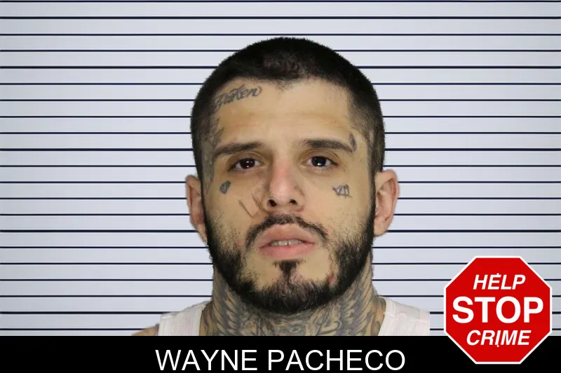 Wayne Pacheco mugshot
