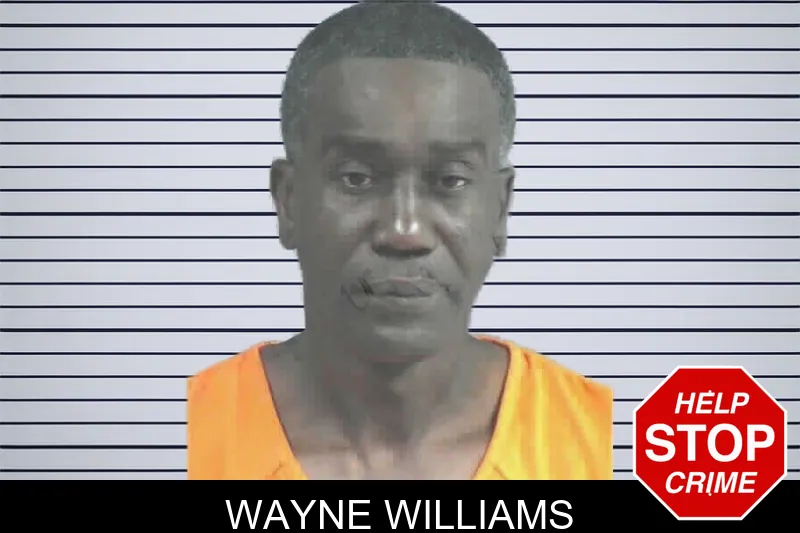 Wayne Williams mugshot