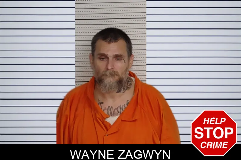 Wayne Zagwyn mugshot – Rockdale County , Georgia Wayne Zagwyn mugshot