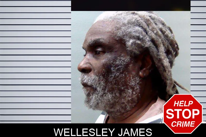 Wellesley James mugshot