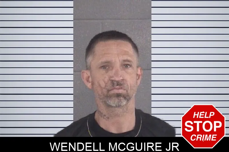 Wendell McGuire Jr mugshot
