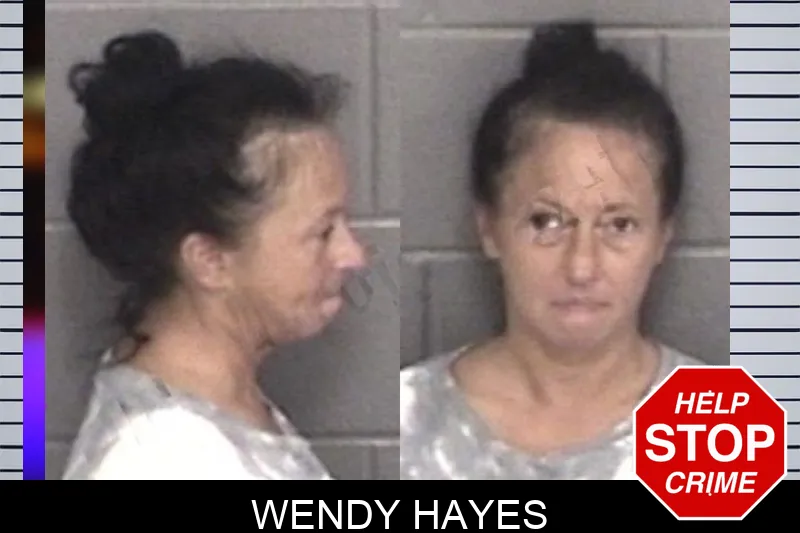 Wendy Hayes mugshot – Barrow County , Georgia Wendy Hayes mugshot
