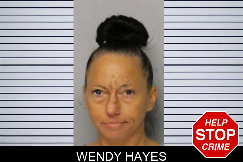 Wendy Hayes mugshot