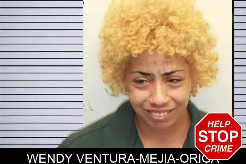 Wendy Ventura-Mejia-Origa mugshot – Chatham County , Georgia Wendy Ventura-Mejia-Origa mugshot