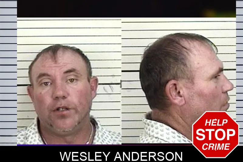 Wesley Anderson mugshot – Camden County , Georgia Wesley Anderson mugshot