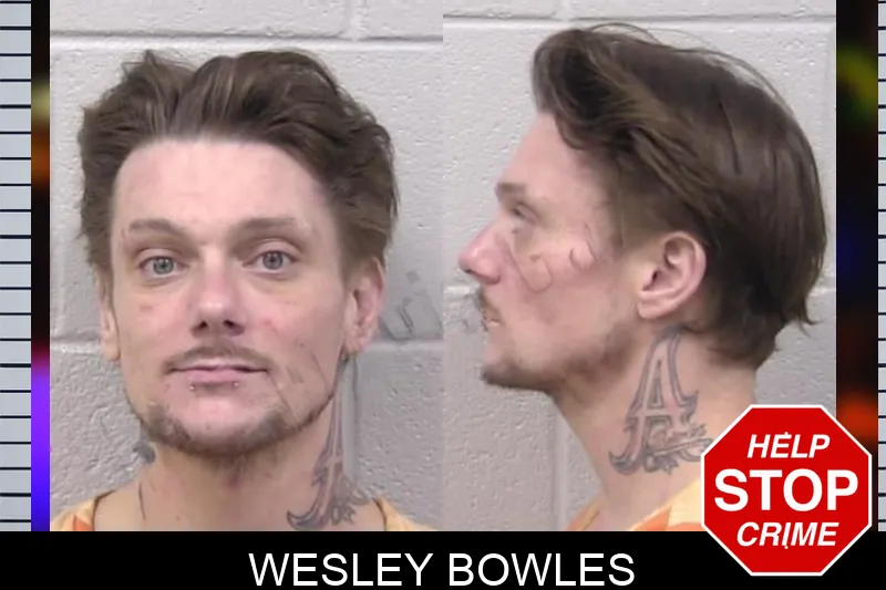 Wesley Bowles mugshot