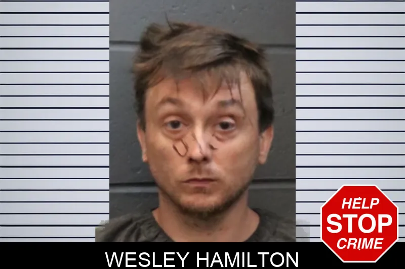 Wesley Hamilton mugshot – Forsyth County , Georgia Wesley Hamilton mugshot