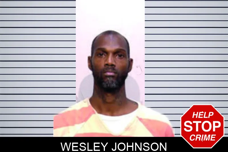 Wesley Johnson mugshot