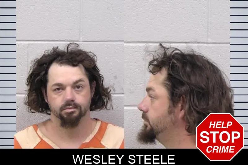 Wesley Steele mugshot – Paulding County , Georgia Wesley Steele mugshot