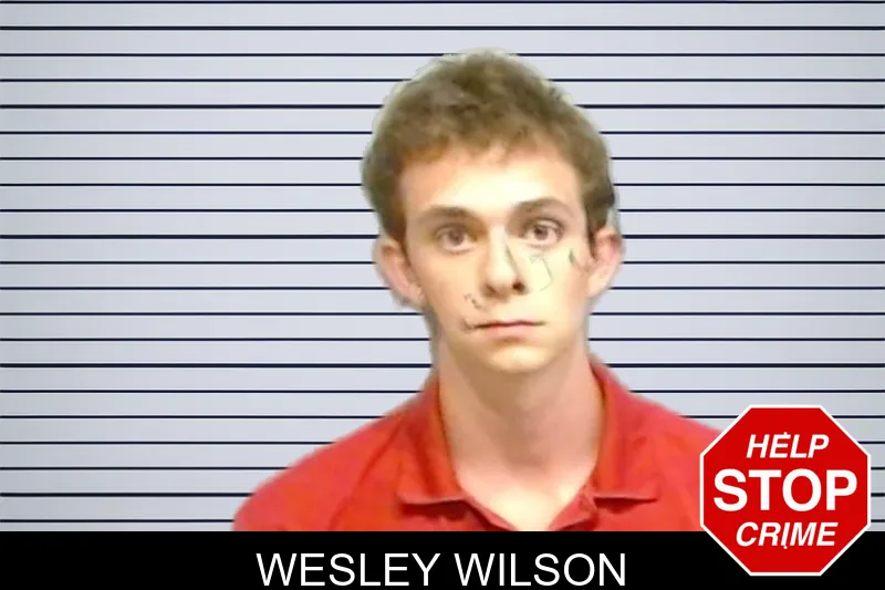 Wesley Wilson mugshot