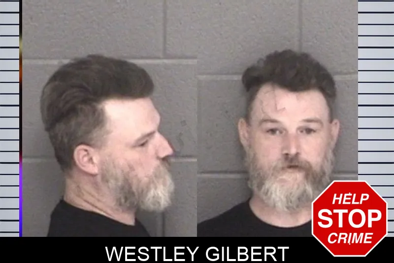 Westley Gilbert mugshot
