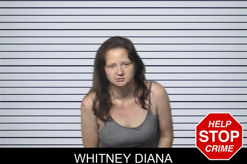 Whitney Diana mugshot