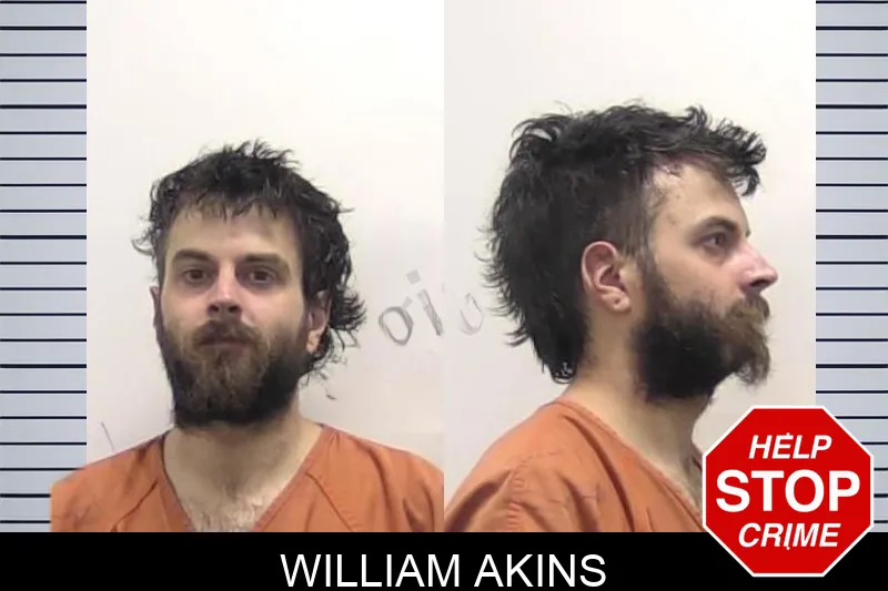 William Akins mugshot – Clarke County , Georgia William Akins mugshot