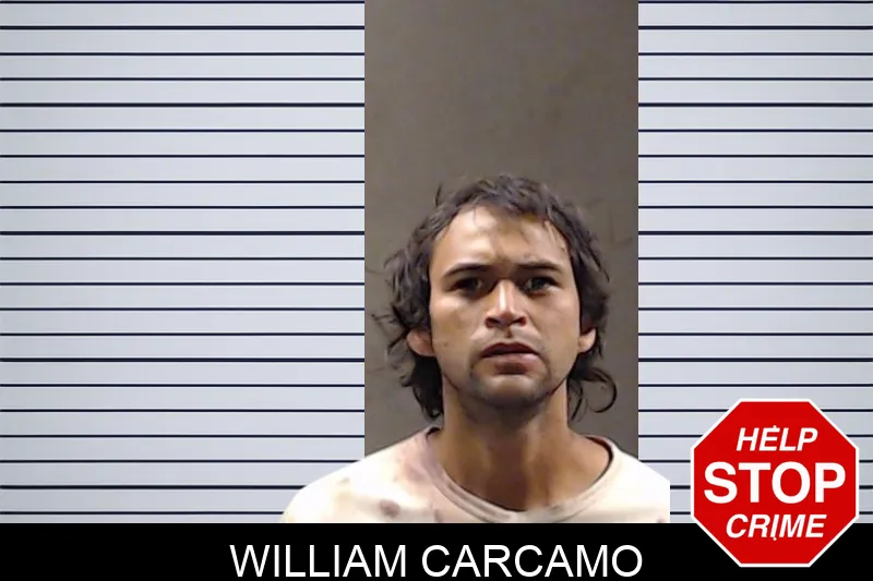 William Carcamo mugshot