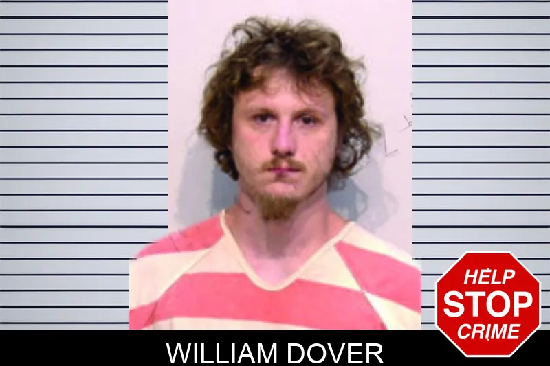 William Dover mugshot – Bartow County , Georgia William Dover mugshot