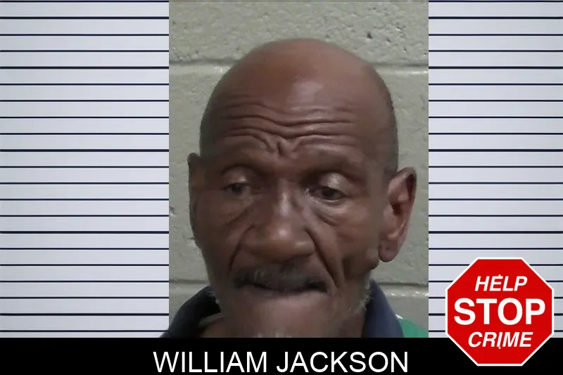 William Jackson mugshot – Wayne County , Georgia William Jackson mugshot