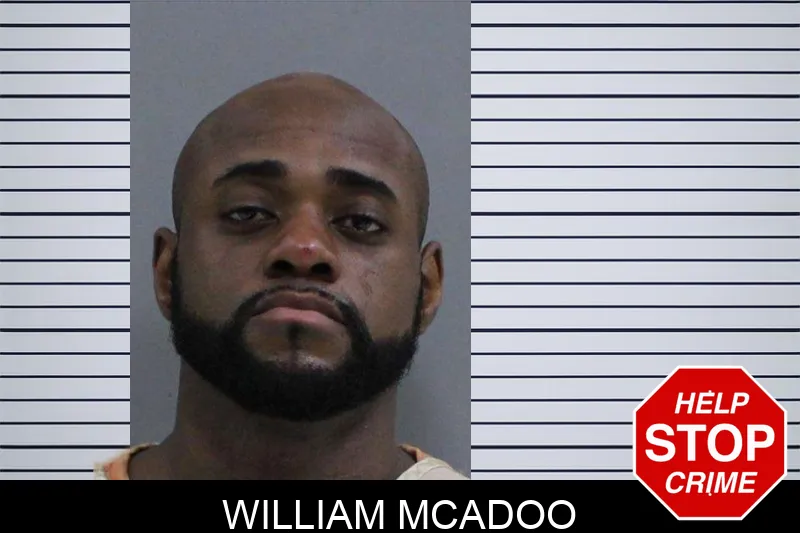 William McAdoo mugshot