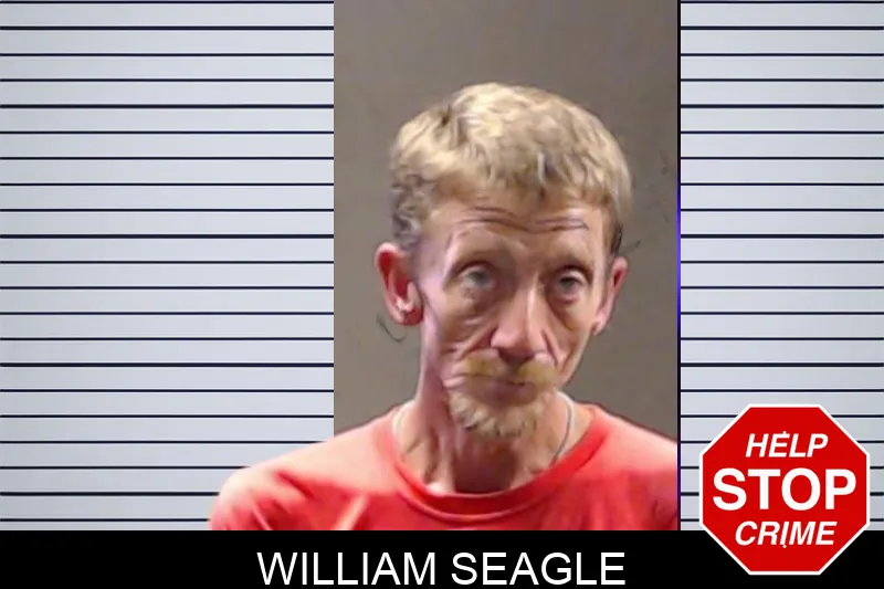 William Seagle mugshot – DeKalb County , Georgia William Seagle mugshot