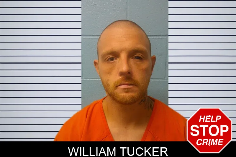 William Tucker mugshot