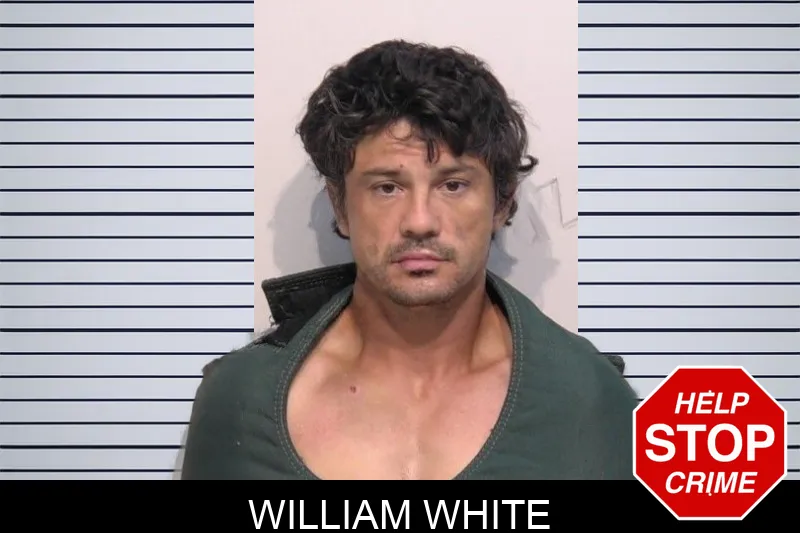 William White mugshot – Bartow County , Georgia William White mugshot