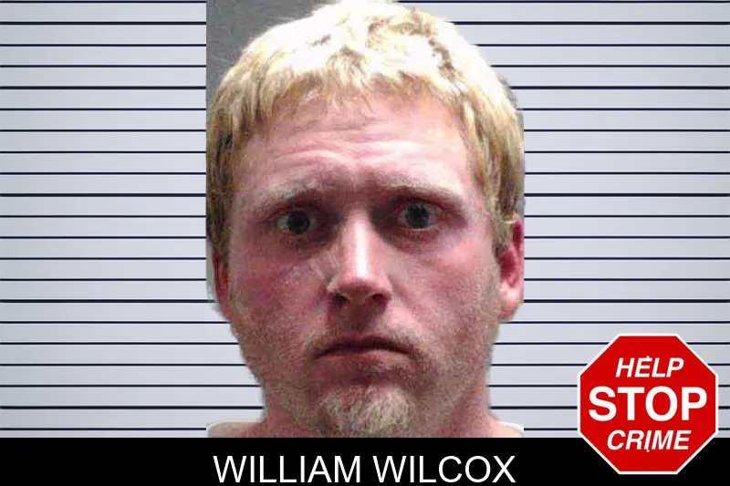 William Wilcox mugshot
